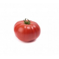 Pomidor TY-12 F1 100 N.