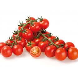 Pomidor Tomagino F1 500 n.
