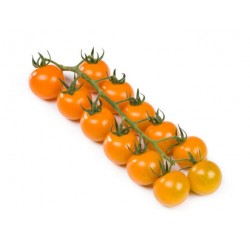 Pomidor Tomarange F1 500 n.