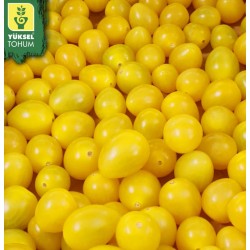 Pomidor Zitronina F1 50 n.