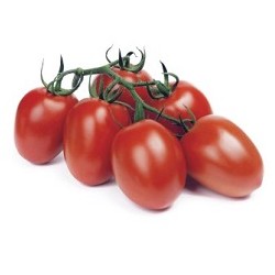 Pomidor Reva f1 250 n.
