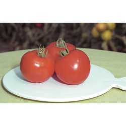 Pomidor Polfast F1 5g.