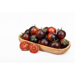 POMIDOR TOMBLACK 100N