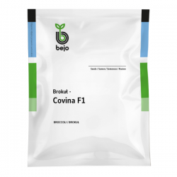 BROKUŁ COVINA 1000 N EKO