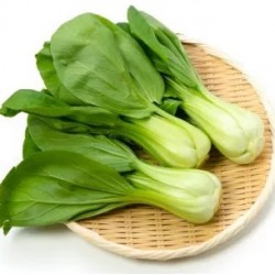 3936 - Kapusta PAK CHOI MEI...