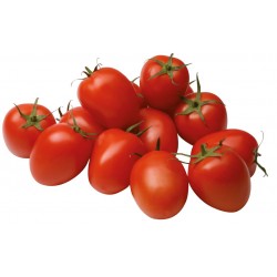 Pomidor Cardyna F1 250 n.